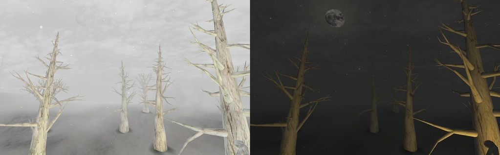 Dead trees under the sky by day and by night