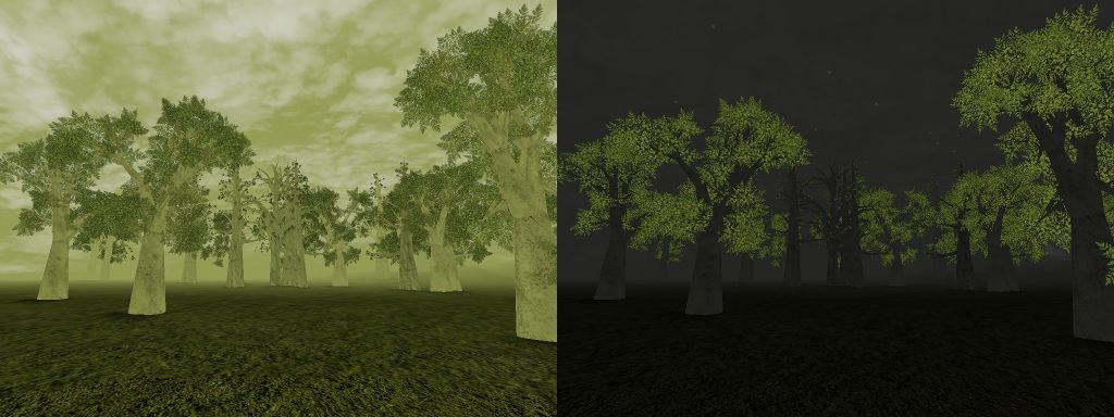 A forest under the sky by day and by night